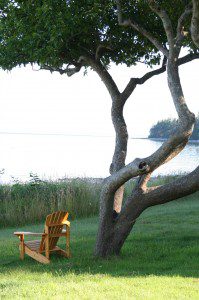 Live as if you were to die tomorrow