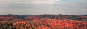 autumn_forest autumn_forest