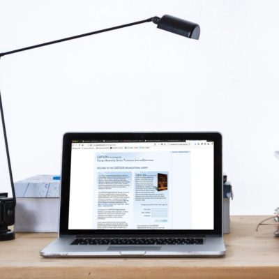 The CASTLE® Survey.