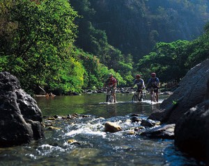 mountain biking mountain biking