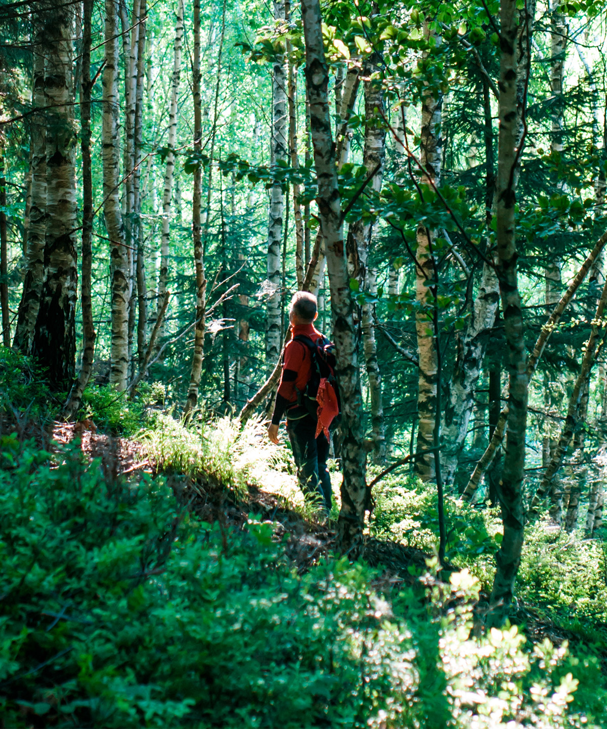 A man hiking up in the woods. Pathfinder concept.